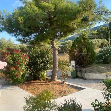 Zante Star Summer House Pandokrátor