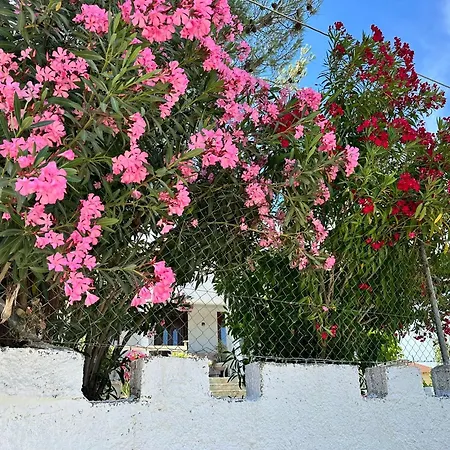 Zante Star Summer House * Pandokrátor