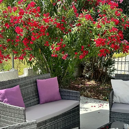 Zante Star Summer House