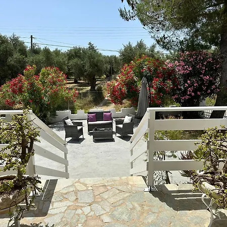 Zante Star Summer House Pandokrátor