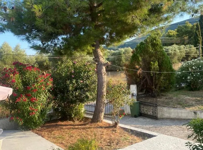 Zante Star Summer House Pandokrátor