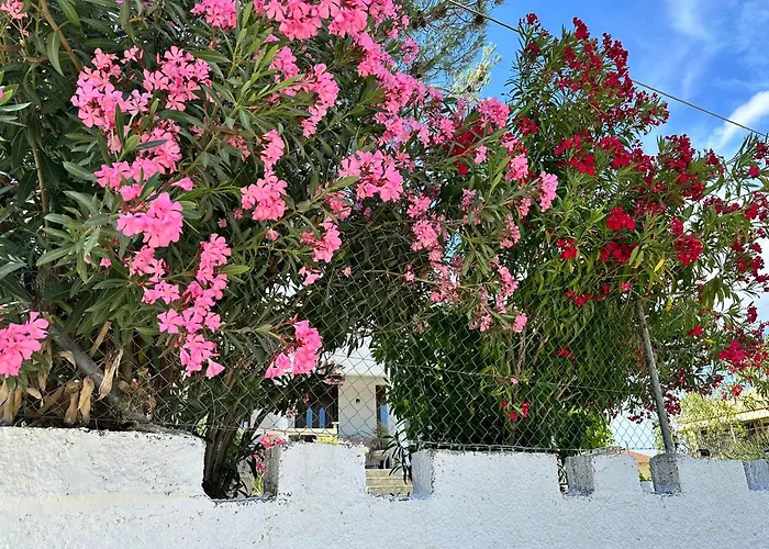 Zante Star Summer House * Pandokrátor